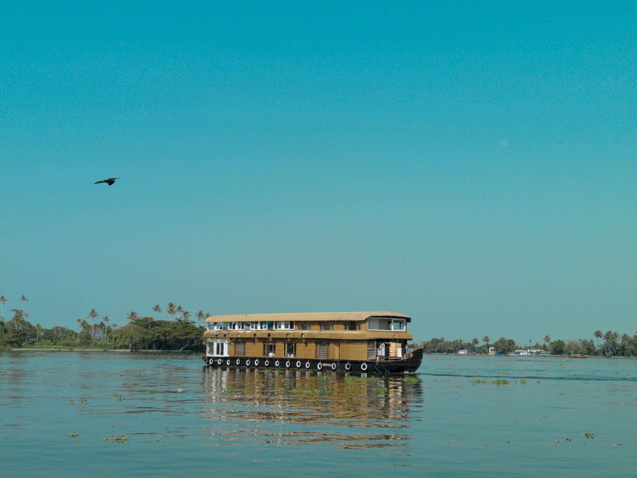Scenic view of a traditional houseboat cruising the picturesque Kerala backwaters under a clear sky.